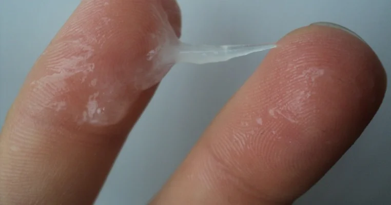 Dược liệu điều trị huyết trắng