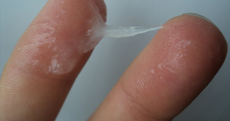 Dược liệu điều trị huyết trắng